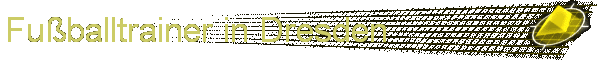 Fuballtrainer in Dresden
