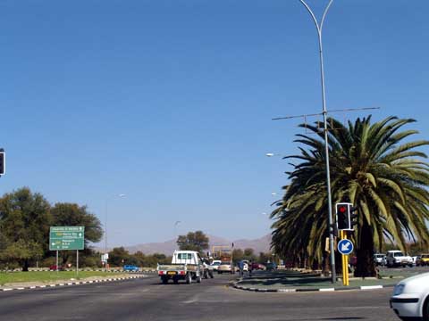 Bild21: Schne Palmenalleen