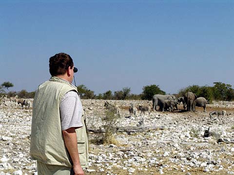 Bild58: Elefanten gegen Mittag