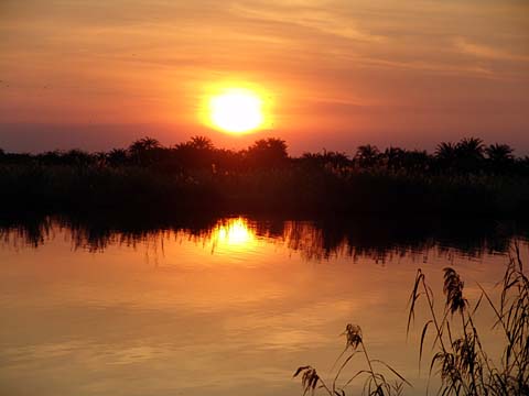 Bild73: Genialer Sundowner 