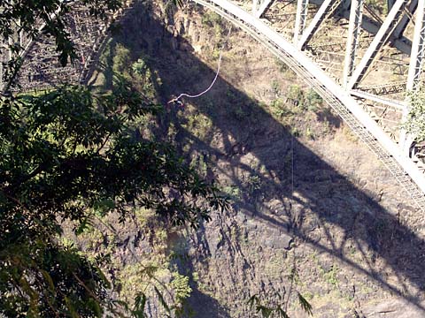 Bild80: Bungee-Jumping