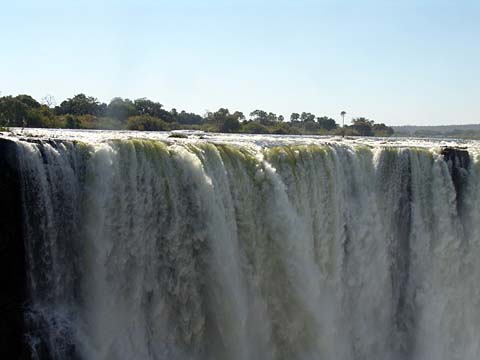 Bild81: Die genialen Victorial Flle