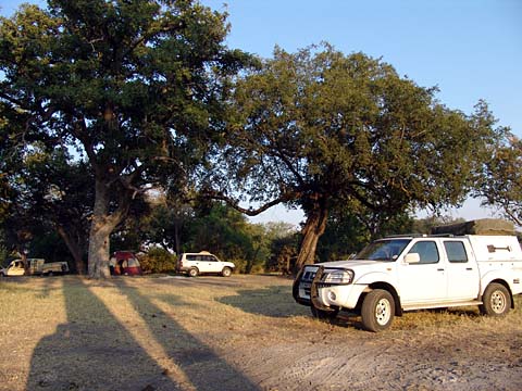 Bild149: Letzter Morgen in Botswana