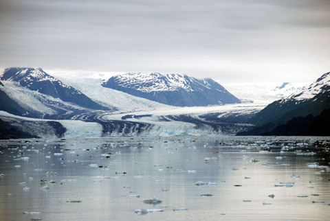 Bild09: Harvard Glacier at College Fjord